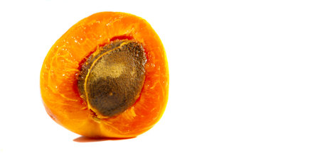 Apricot. Although their own name is Prunus armeniaca, apricots probably come from China, not Armenia. The earliest known records of fruit are from the time of Emperor Yu, around 2200 BC,の写真素材