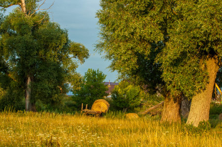 Summer landscape photo, hay packed in rolls, Large bales also allow the hay to begin to ferment naturally, which can prolong its use by preventing rot and mold.の写真素材
