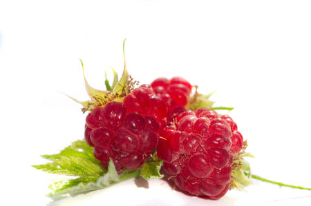 Raspberry. It's time to rejoice - it's finally raspberry season. There is something magical about...