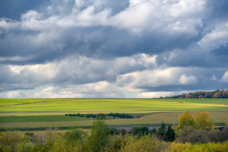 Autumn landscape photo. Flat flora of Europe. Meadows, ravines, thickets, open deciduous or mixed forest. Meadows in Septemberの写真素材