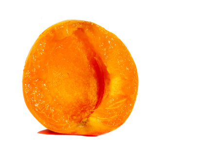Apricot. Many people have special memories of the smell and taste of sweet ripe apricots on a hot summer day. Maybe they were visiting their grandmother or nibbling fruit over the neighbors fence.の写真素材