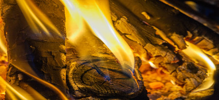Fire in the fireplace. What could be better than spending a cool evening in your house by the fire,...