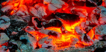 Fire in the fireplace. Our ancestors discovered that fire repelled saber-toothed tigers, and the...