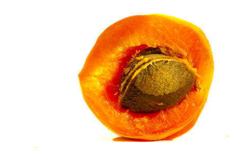 Apricot. Many people have special memories of the smell and taste of sweet ripe apricots on a hot...