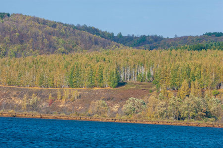 Photo of an autumn landscape, Picturesque autumn landscape of steady river and bright trees.