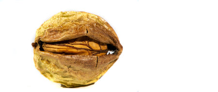 Walnut. The best thing about walnuts is the smell.
