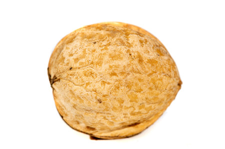 Walnut. For me, love is like walnuts. It should be taken regularly and in small amounts.
