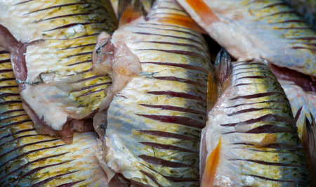 The fish is ready to eat. Fish contains high quality protein and other essential nutrients and is an important part of a healthy diet.の写真素材