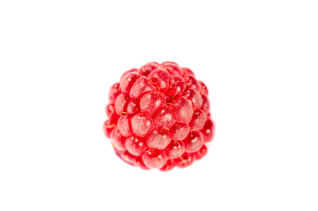 Raspberries. Wild red raspberries produce small, tart red berries. They are delicious fresh but also...