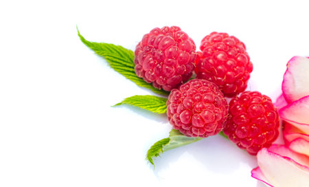 Raspberry. it is a healthy, tasty berry that consumers should enjoy during the summer months....