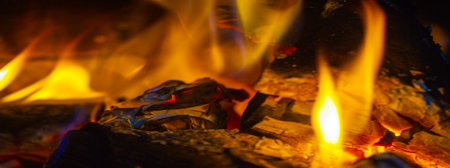 Fire. Fire is an important process affecting ecological systems around the world. Positive effects...