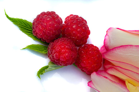 Raspberries. Wild red raspberries produce small, tart red berries. They are delicious fresh but also...