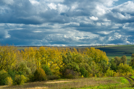 Autumn landscape photo. Flat flora of Europe. Meadows, ravines, thickets, open deciduous or mixed forest. Meadows in Septemberの写真素材