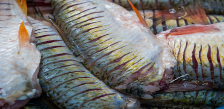 The fish is ready to eat. Fatty fish are also particularly rich in long-chain omega-3 fatty acids, which help support heart health.の写真素材