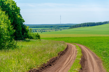 summer landscape, dirt road from chernozem, blue cloudless sky, green clover of alfalfa, a walk along the European part of the earthの写真素材