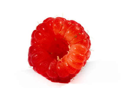 Raspberries are an excellent source of vitamin C, manganese and dietary fiber. They are also a very...