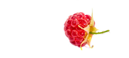 Raspberries. Wild red raspberries produce small, tart red berries. They are delicious fresh but also...