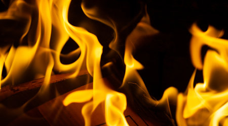 Fire. Fire is an important process affecting ecological systems around the world. Positive effects include stimulating growth and maintaining various ecological systemsの写真素材