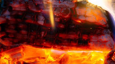 Fire. Fire is an important process affecting ecological systems around the world. Positive effects...