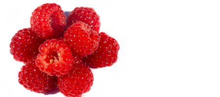 Raspberries are an excellent source of vitamin C, manganese and dietary fiber. They are also a very good source of copper and vitamin K, pantothenic acid, biotin, magnesium, folic acid.の写真素材