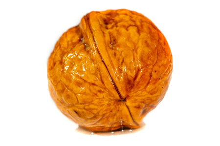 Walnut.