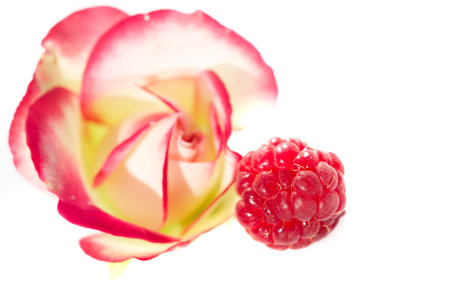 Raspberries are an excellent source of vitamin C, manganese and dietary fiber. They are also a very good source of copper and vitamin K, pantothenic acid, biotin, magnesium, folic acid.の写真素材