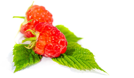 Raspberries are an excellent source of vitamin C, manganese and dietary fiber. They are also a very...