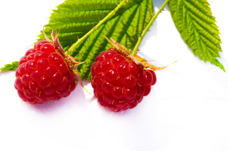 Raspberries are an excellent source of vitamin C, manganese and dietary fiber. They are also a very...
