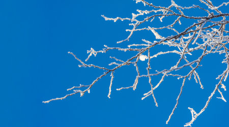 The mountains. Winter. Get to know the beautiful scenery on winter hikes. From streams covered with sparkling ice to snow-capped mountains and convenient paths.の写真素材