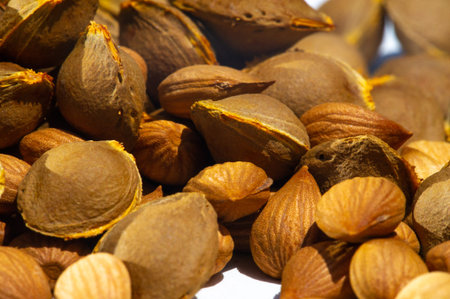 Apricot Kernels, Apricot Kernels are believed to have potential health benefits, such as aiding in...
