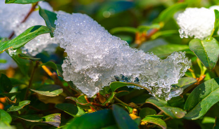 The first snow fell on autumn leaves. The most mysterious time of the year. Autumn wind and cold...