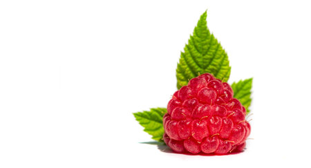 Raspberry. In late summer, native raspberries make their way from the fields to your refrigerator in...