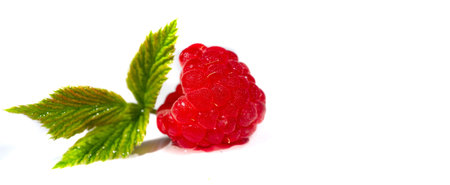 Raspberry. In late summer, native raspberries make their way from the fields to your refrigerator in...