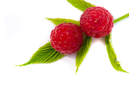 Raspberry. In late summer, native raspberries make their way from the fields to your refrigerator in...