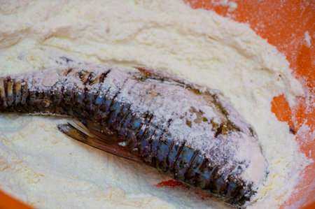 The fish is ready to eat. These are aquatic cold-blooded vertebrates that live both in the sea and in fresh water. Many types of edible fish are excellent sources of nutrients.の写真素材