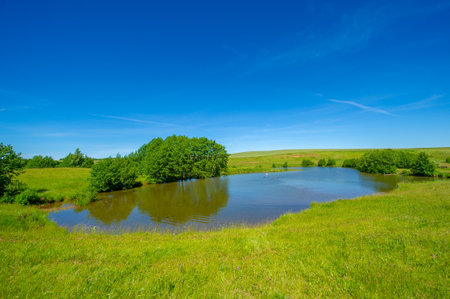 summer landscape, sultry summer days, a lake with warm water, living in the temperate northern hemisphere. bushesの写真素材