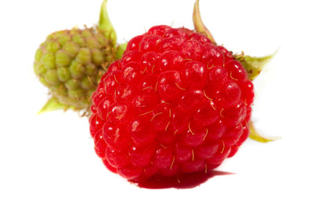 Raspberry. In late summer, native raspberries make their way from the fields to your refrigerator in...