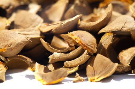 Apricot kernel. Raw materials for production. Natural, vegetable, scrub. Apricot oil, which is part of the scrub, contains polyunsaturated acids and vitamins A, C, B and F, which are very useful for any type of skin.の写真素材