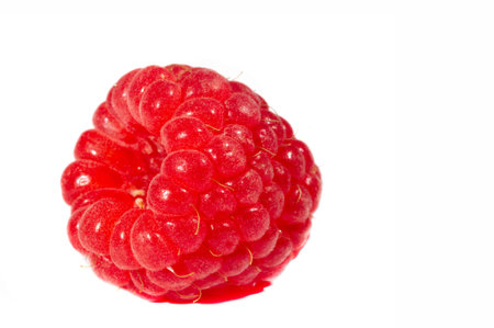 Raspberry. In late summer, native raspberries make their way from the fields to your refrigerator in abundance. This is a great opportunity to take advantage of this delicate fruit and put it to good useの写真素材
