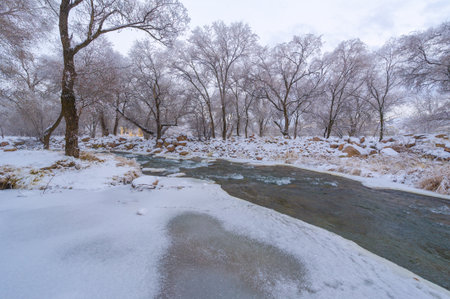 The river freezes in winter. My favorite part of winter with our local river is how the mist rolls in and covers the surrounding forest, creating a soft, mysterious yet soothing place.の写真素材