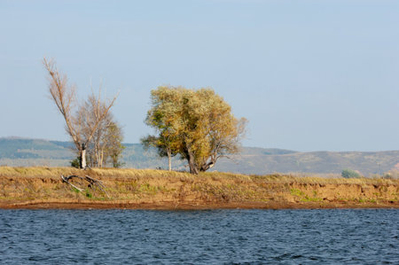 Photo of an autumn landscape, Picturesque autumn landscape of river and bright trees, cloud at the sky.の写真素材