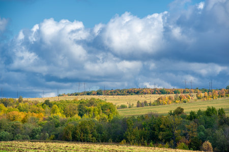 Autumn landscape photo. Flat flora of Europe. Meadows, ravines, thickets, open deciduous or mixed forest. Meadows in Septemberの写真素材