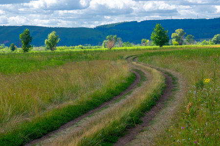 Summer photo. floodplain meadows A meadow (or floodplain) is an area of â€‹â€‹meadows or...