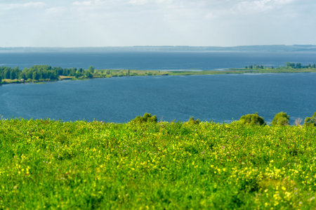 Summer landscape. River in the European part of the world. Sunny warm day. Green trees, grass. Blue sky with a small cloud cover.の写真素材