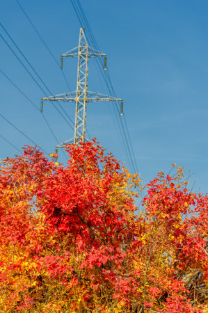 Industrial autumn landscape. it is an interdisciplinary field that includes aspects of urban design, architecture, geography, ecology, civil engineering, construction, environmental psychology,の写真素材