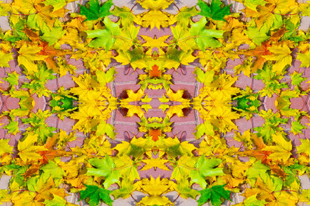 seamless Autumn maple leaf, a flattened structure of a higher plant, similar to a blade that attaches directly to the stem or through the stem. Leaves are the main organs of photosynthesis and transpirationの写真素材