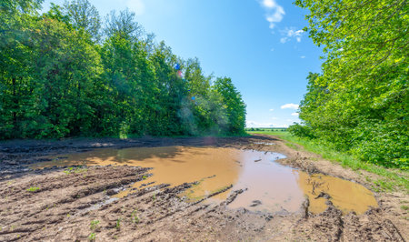 Spring , landscape, dirt road or path made from the earth's surface through which it passesの写真素材