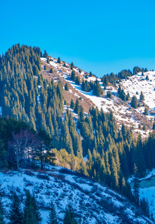 mountains winter and snow. Nothing lives long, Only earth and mountains. If you think you've reached your peak, find a new oneの写真素材