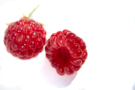 Raspberry is juicy and perfect for your most fruity mood. Give some joy to your table. Surprisingly...