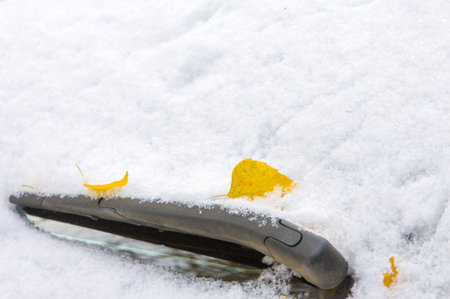 The first snowfall of the season creates a beautiful winter landscape Snow adds a touch of magic to...